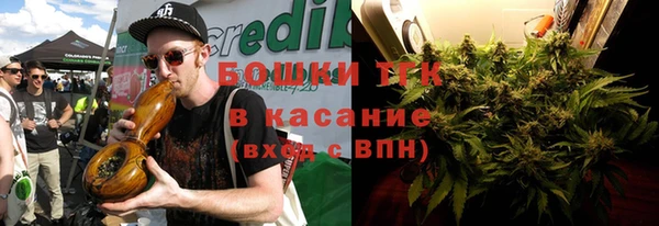 тгк Богданович