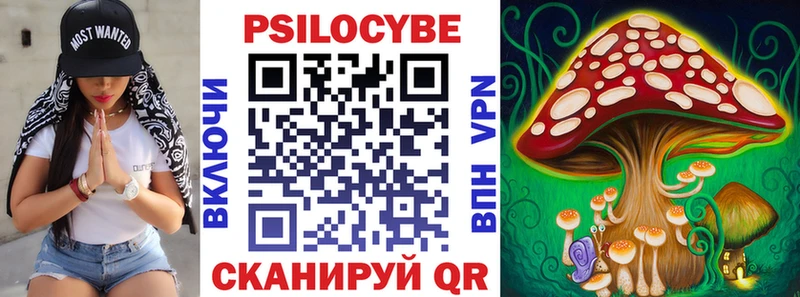 darknet официальный сайт  как найти закладки  Дивногорск  Галлюциногенные грибы Magic Shrooms 