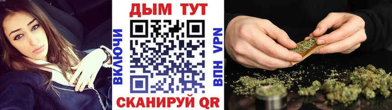 цена   Дивногорск  мега как зайти  Конопля гибрид 